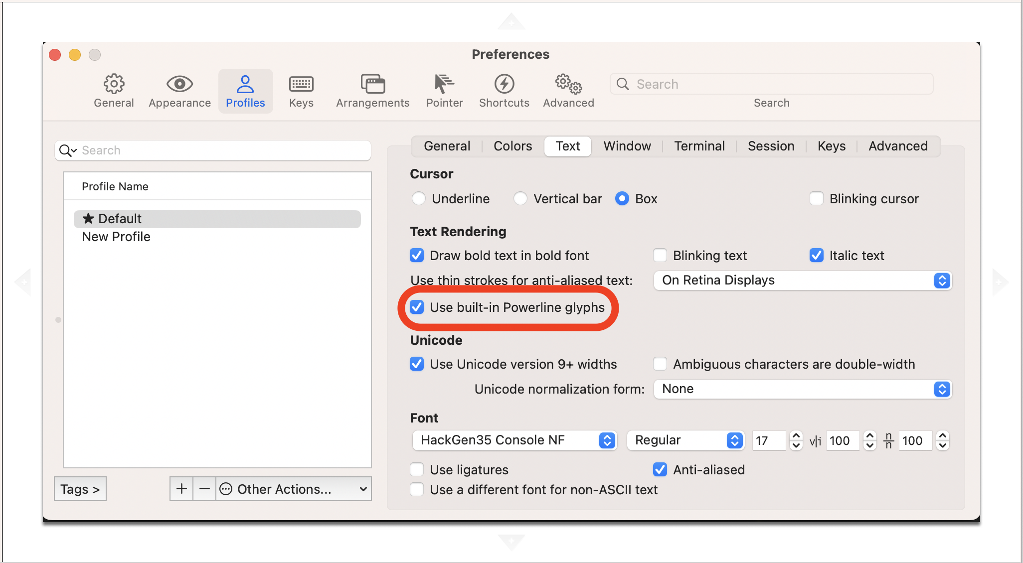 iTerm2 Settings Screenshot 2