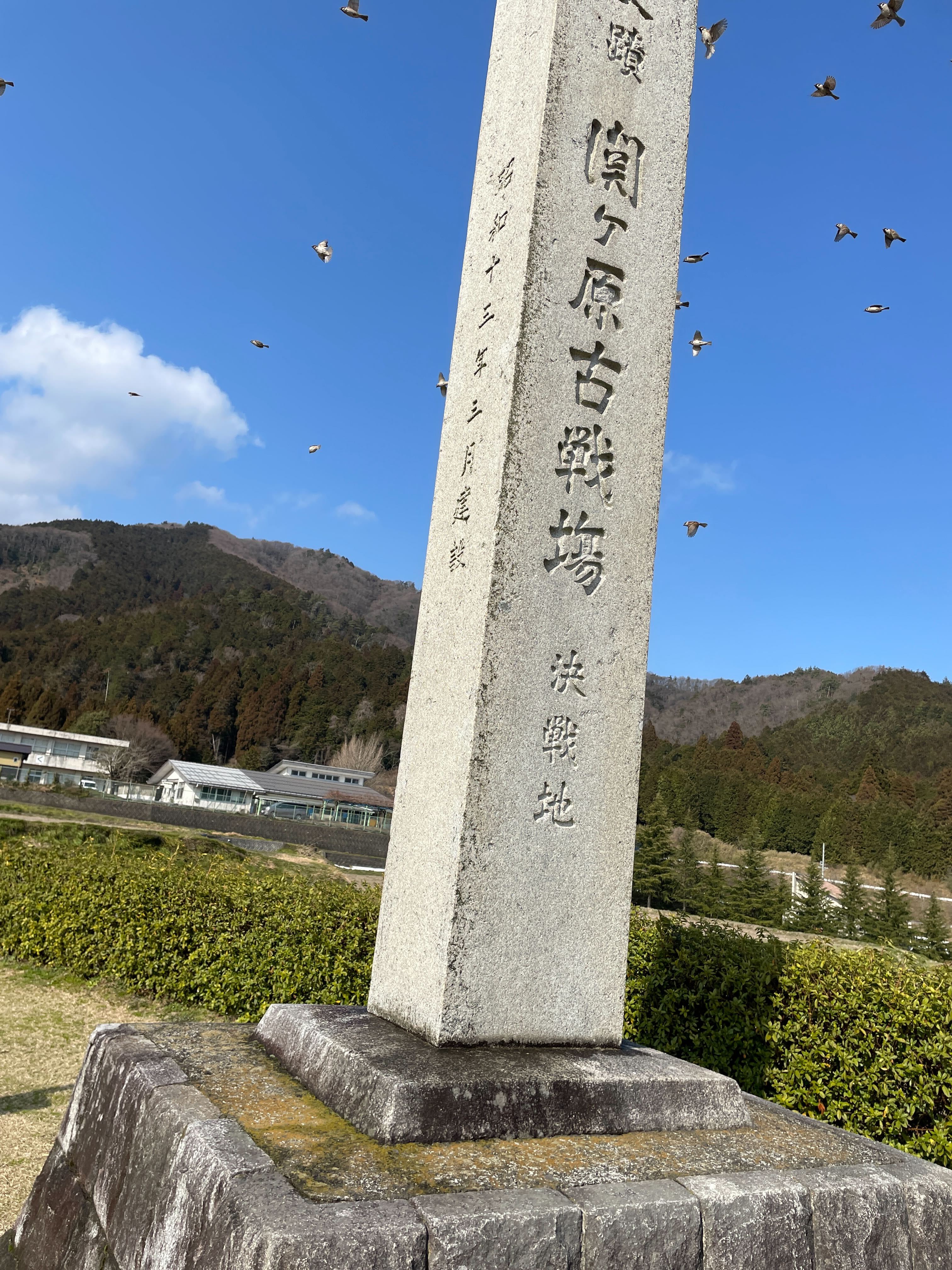 IMG_6101.jpg (2.0 MB)