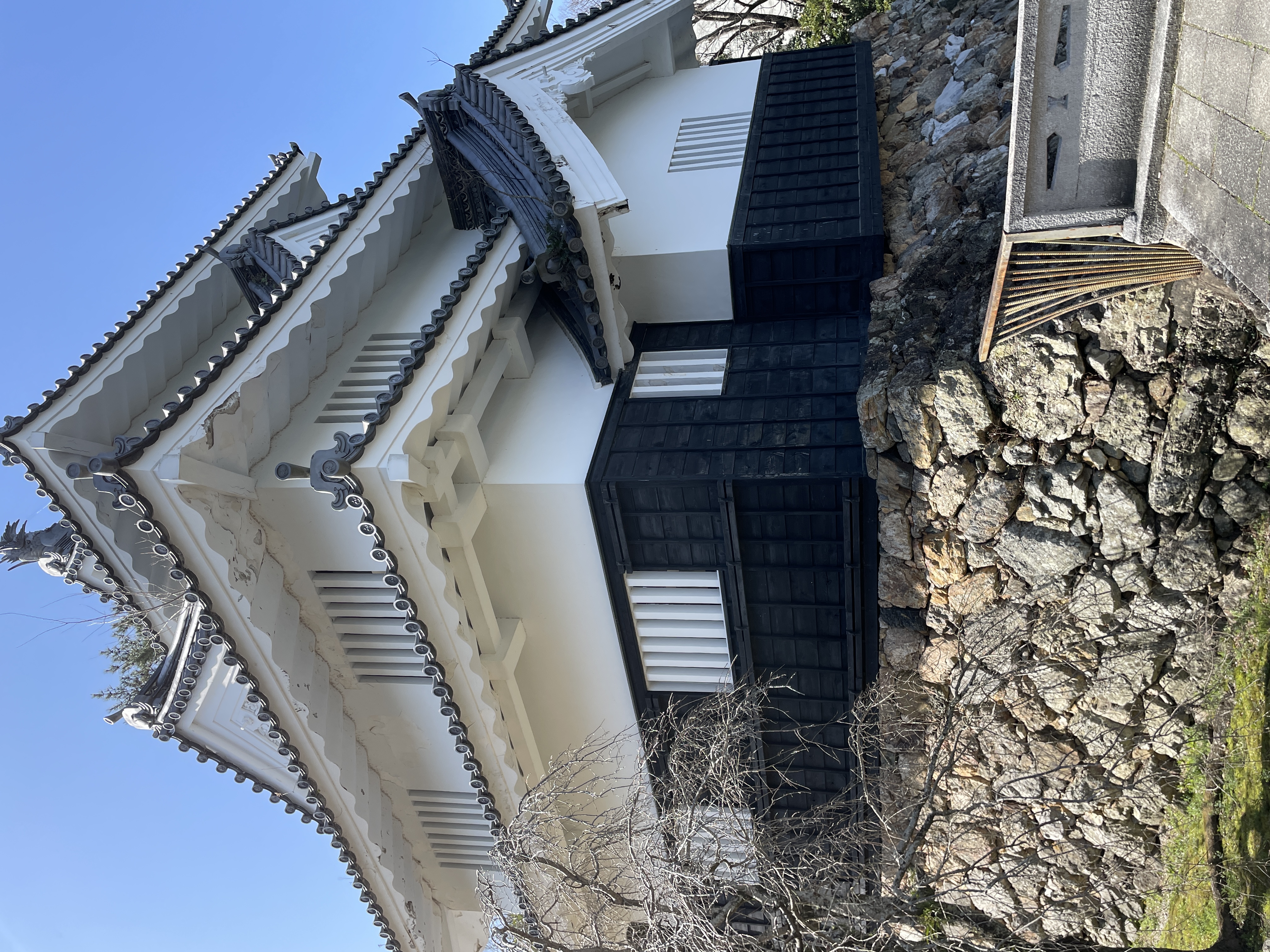 IMG_6164.JPG (4.9 MB)