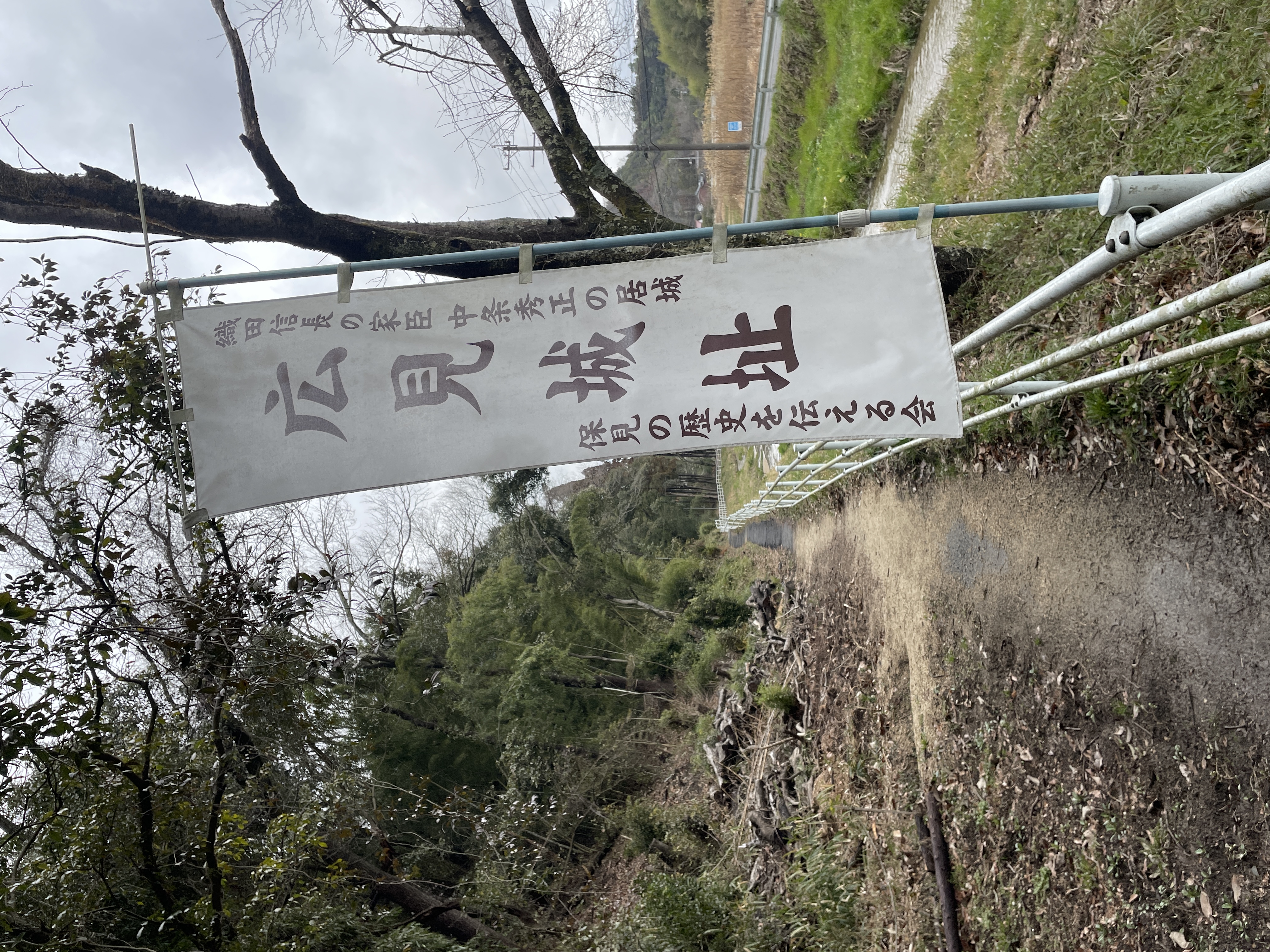 IMG_6133.JPG (5.7 MB)