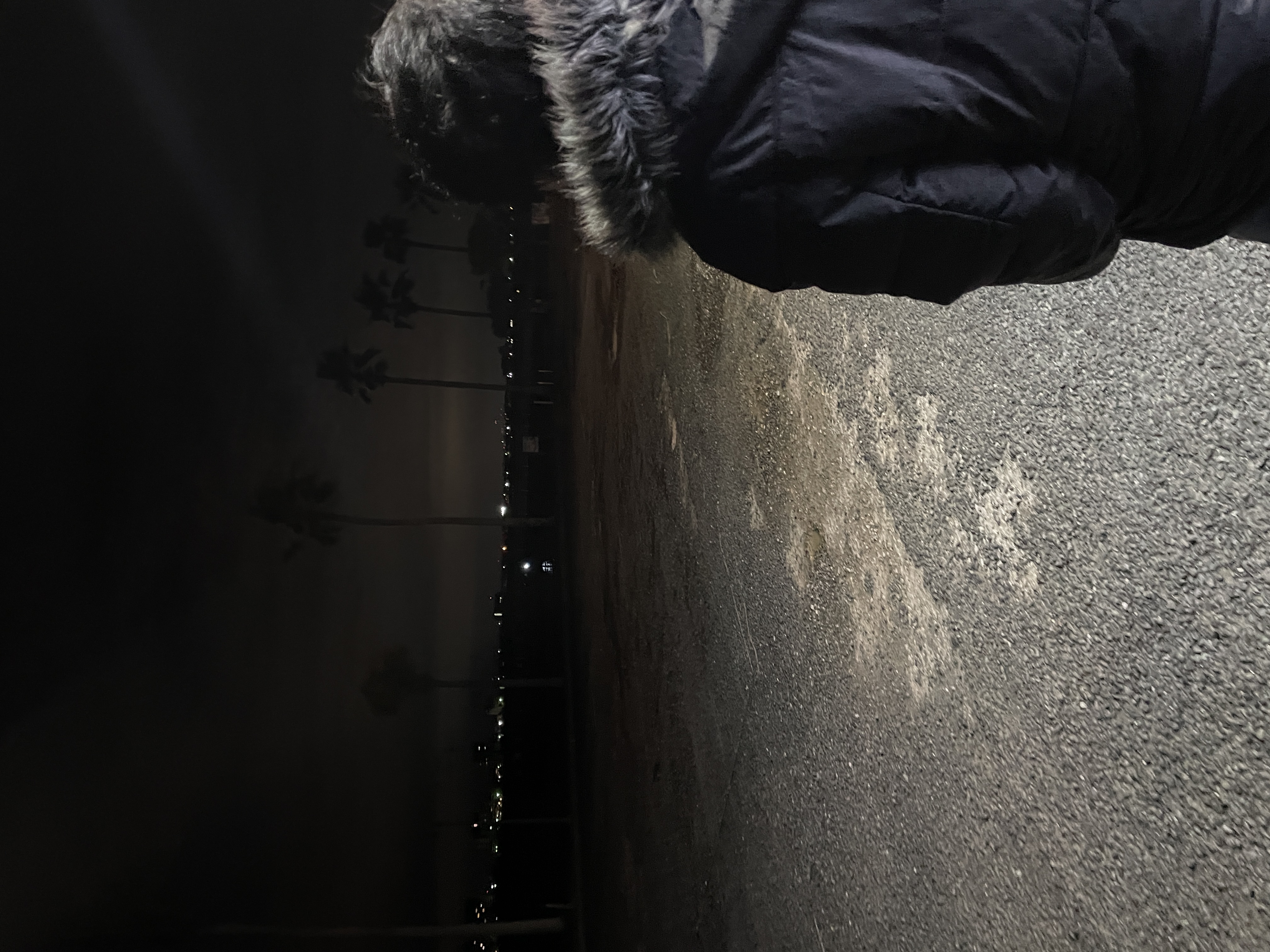 IMG_6148.JPG (2.6 MB)