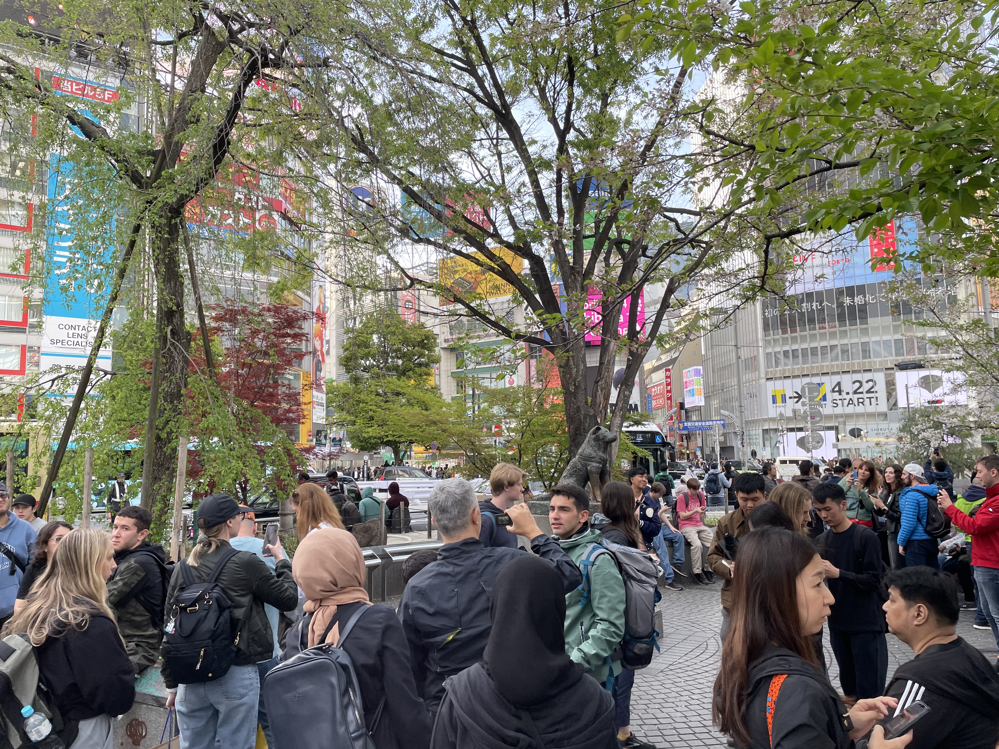 IMG_6531.JPG (7.1 MB)